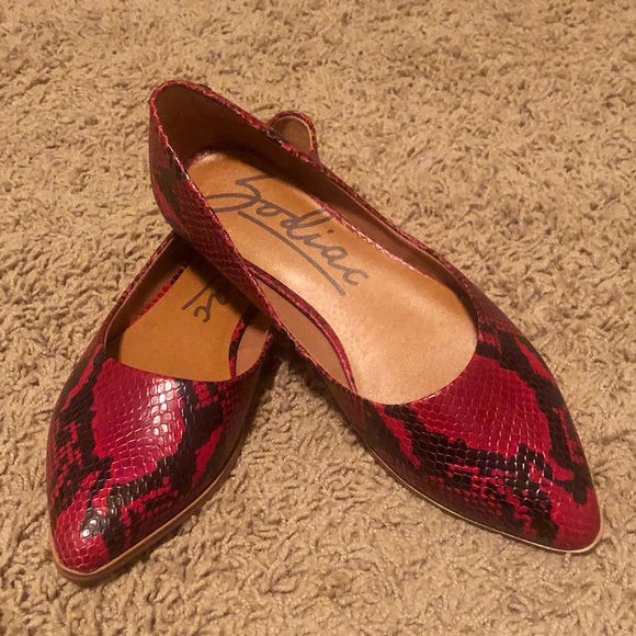 Zodiac Hill Flat - Picture 3 of 8